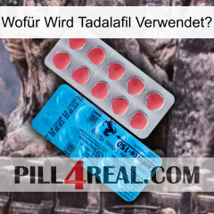 Wofür Wird Tadalafil Verwendet1 new14